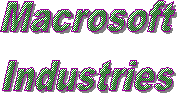 MacroSoft Industry
