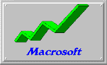 Macrosoft Italy