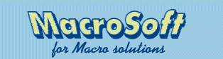 MacroSoft the Netherland